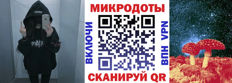 Галлюциногенные грибы Psilocybe  Альметьевск 